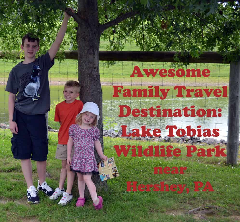 Lake Tobias Wildlife Park Great Trip for the Family! Ever After in