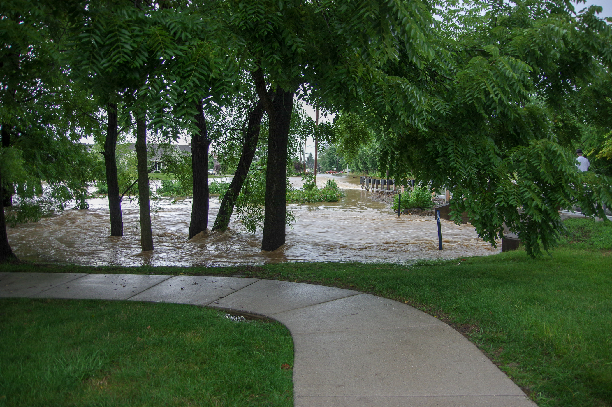 Plum Creek Flooded Everchanging Perspective