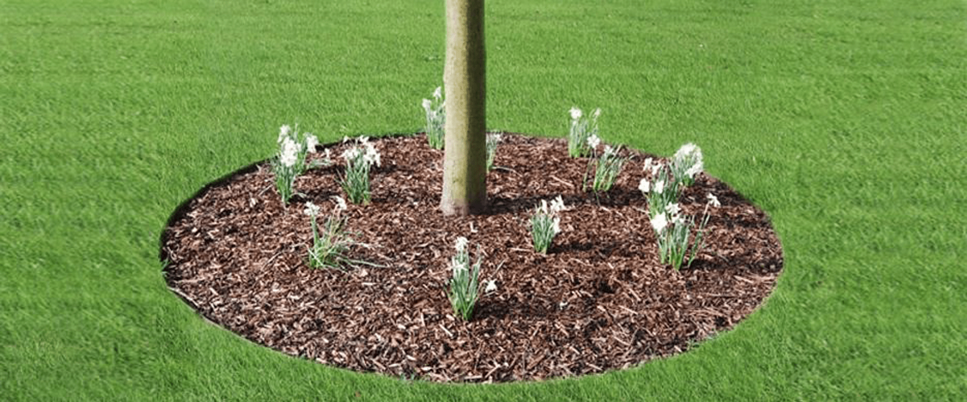 Steel Garden Rings Circular Garden Edging Everedge