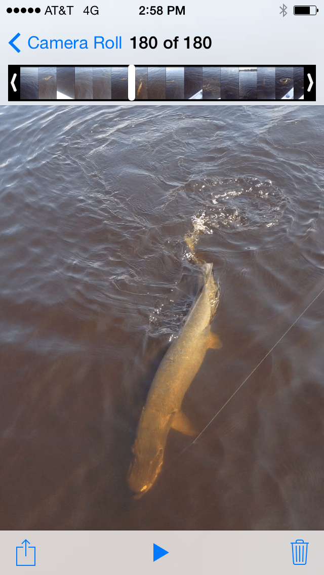 Good Lake Vermilion Fishing Continues August 10, 2014 Everett Bay Lodge