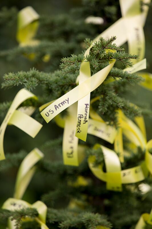 Yellow Ribbon Ceremony Check Out How EvCC Honors Veterans The Clipper