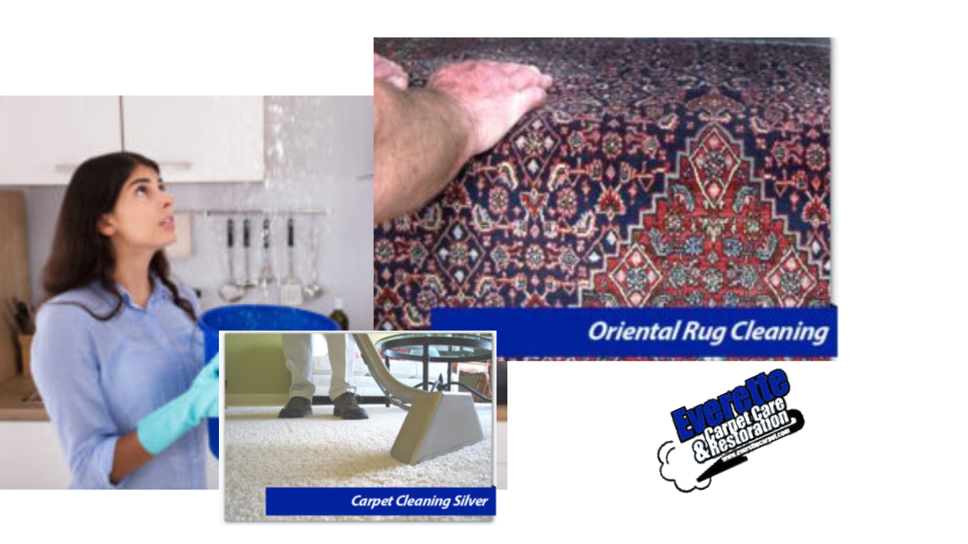 About us Providing Northern Virginia, DC, & MD With Carpet Cleaning
