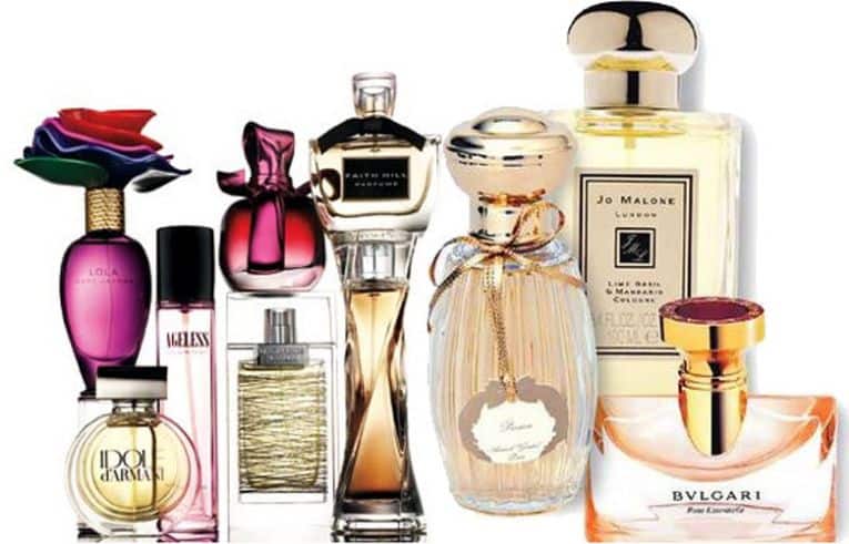 Learning The Different Types of Womens Perfume Everfumed