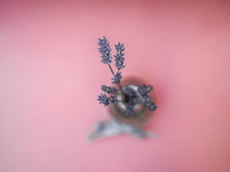 5 Best Lavender Perfumes and Everything You Need to Know About It