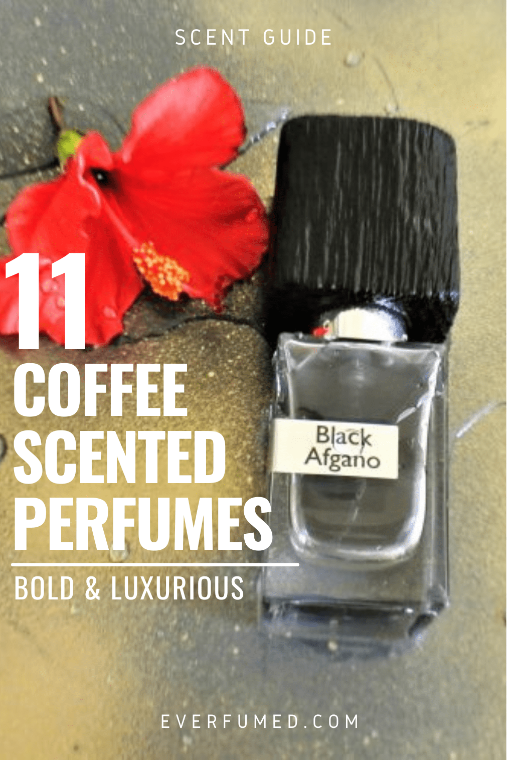 11 Coffee Scented Perfumes Bold & Luxurious Everfumed Fragrance Notes