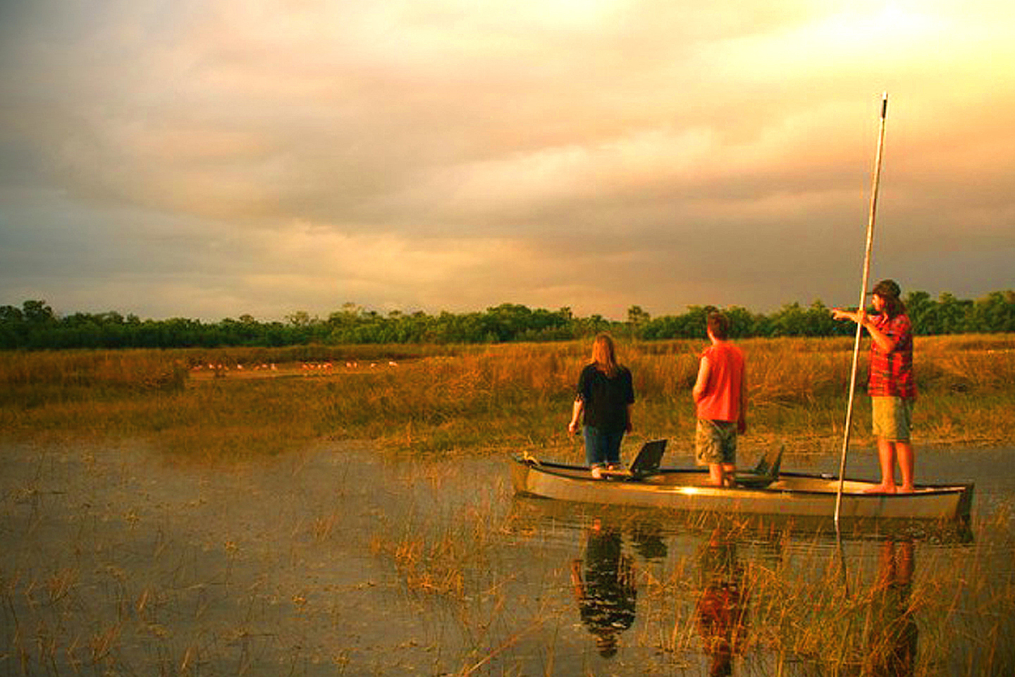 Everglades Tours Eco Tours Everglades Adventure Tours Florida