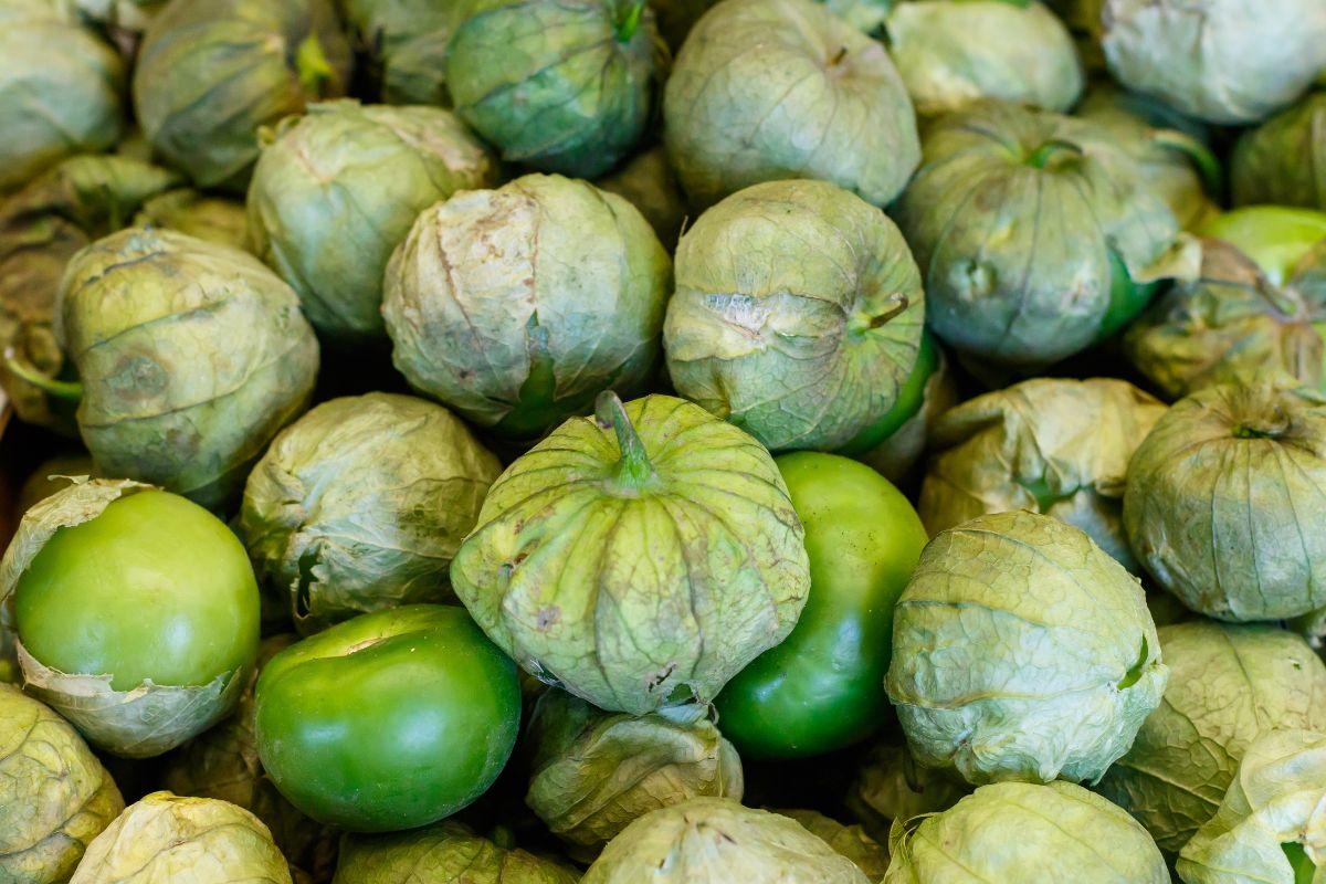 How To Store Tomatillos Evergreen Blooming