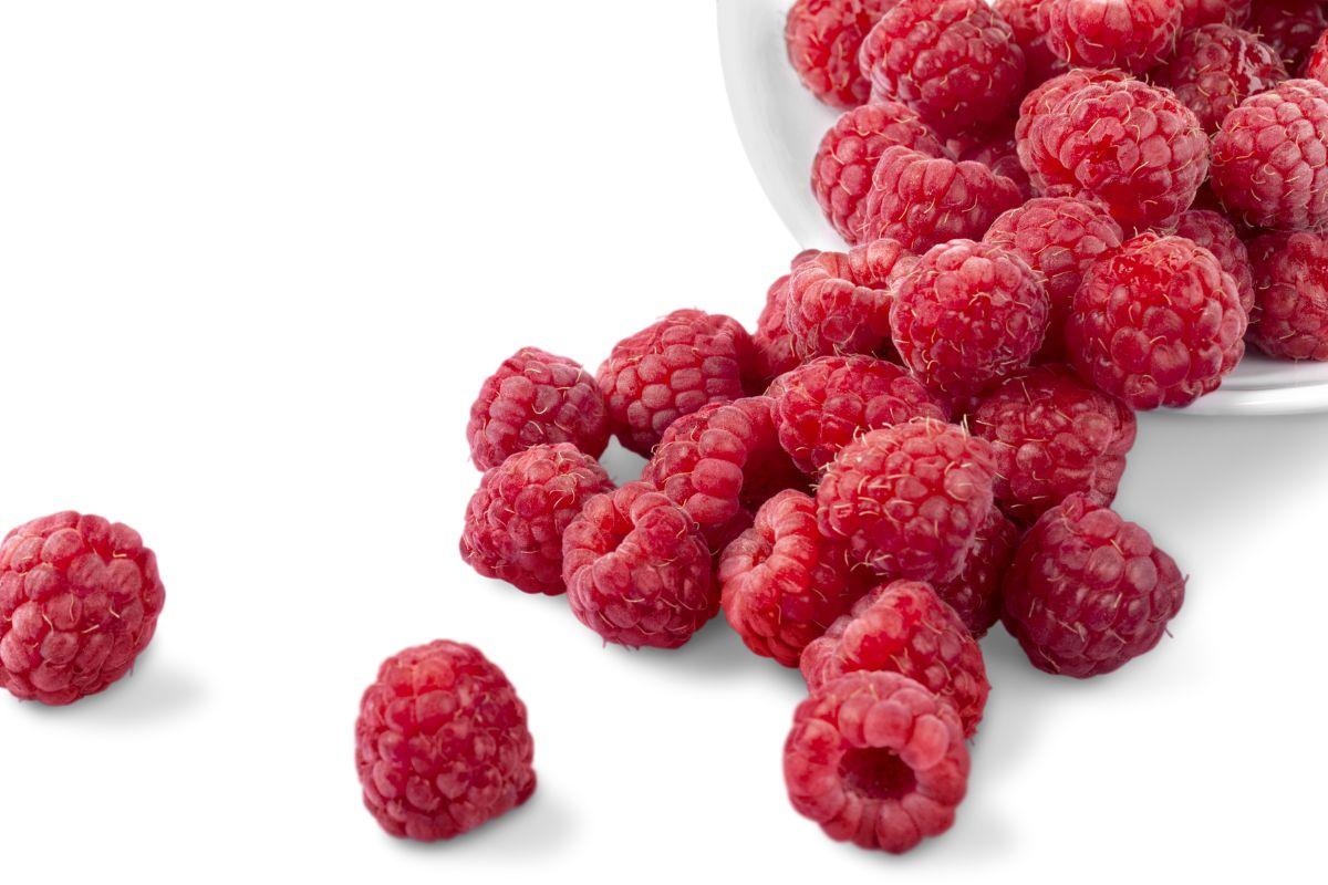 What Color Are Raspberries? Evergreen Blooming
