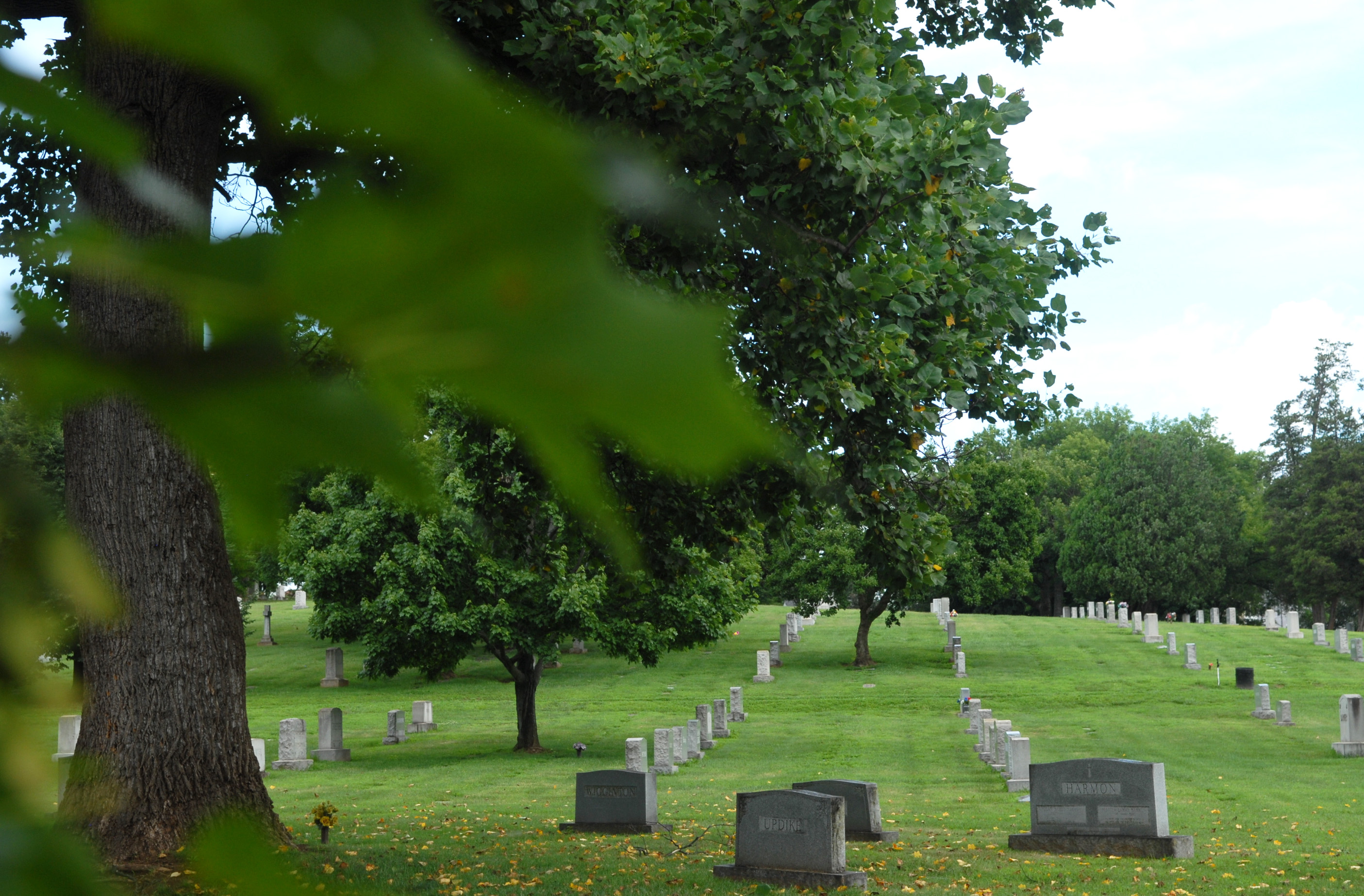 Gallery Evergreen Burial Park