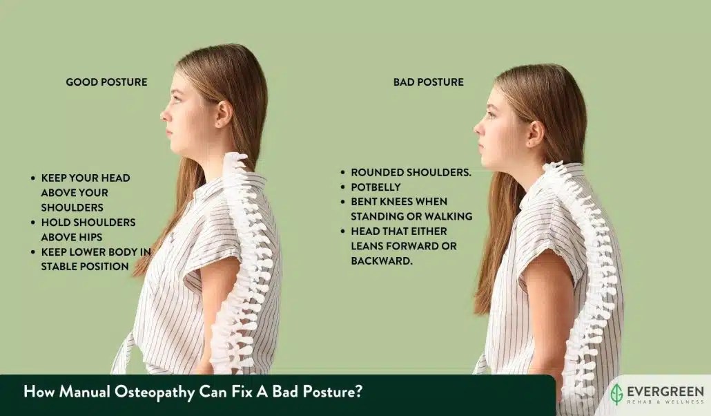 How Manual Osteopathy Can Fix A Bad Posture? Evergreen Rehab & Wellness