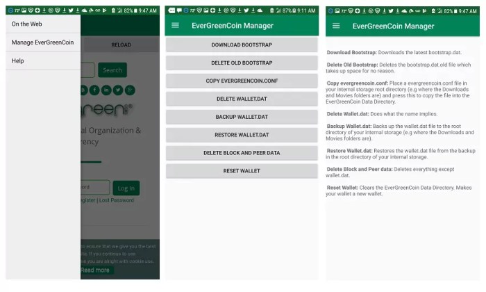 EverGreenCoin Manager App for Android EverGreenCoin-Qt App