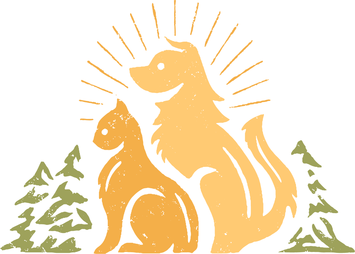 Home Evergreen Veterinary Clinic Lansing