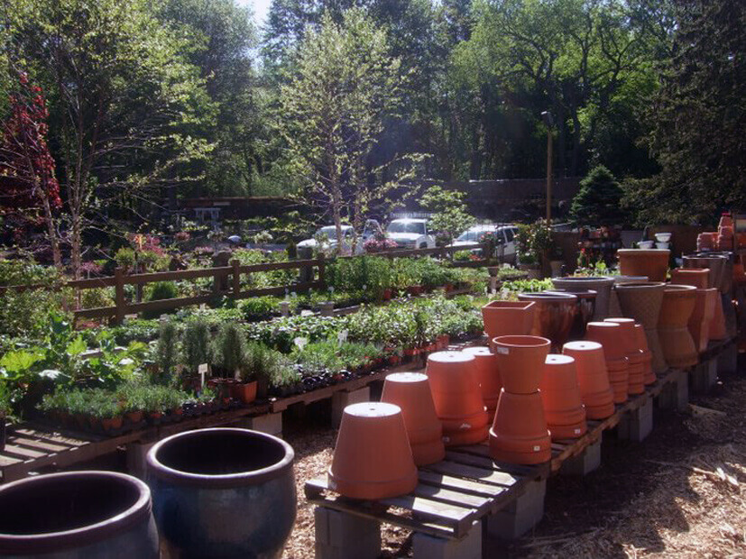 The Garden Center A place to meet, shop and get inspired. Evergreen