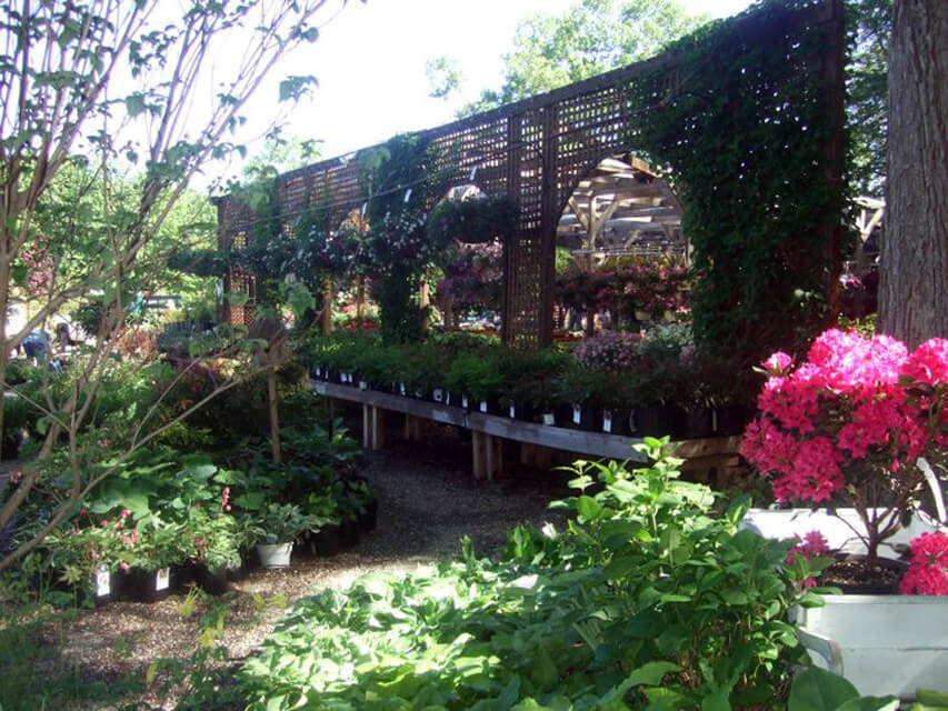 The Garden Center A place to meet, shop and get inspired. Evergreen
