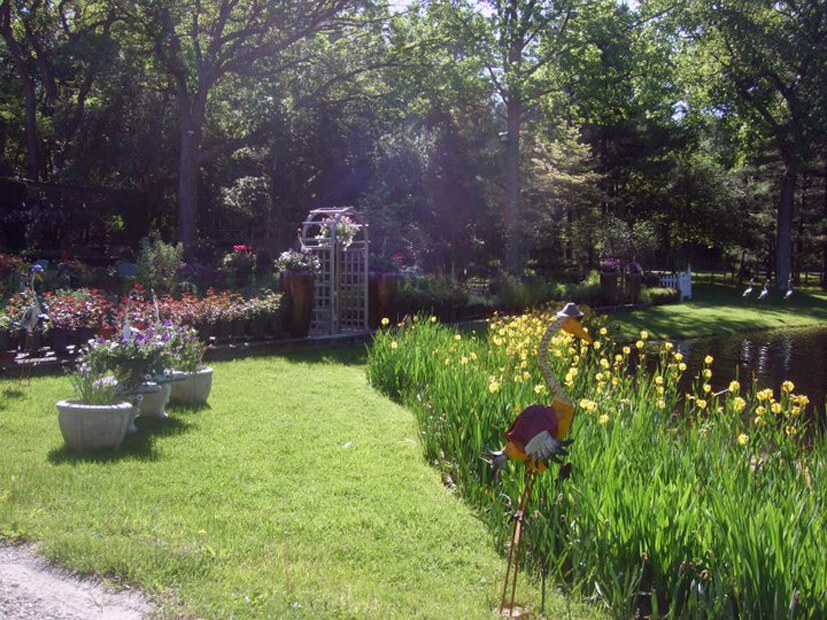 The Garden Center A place to meet, shop and get inspired. Evergreen