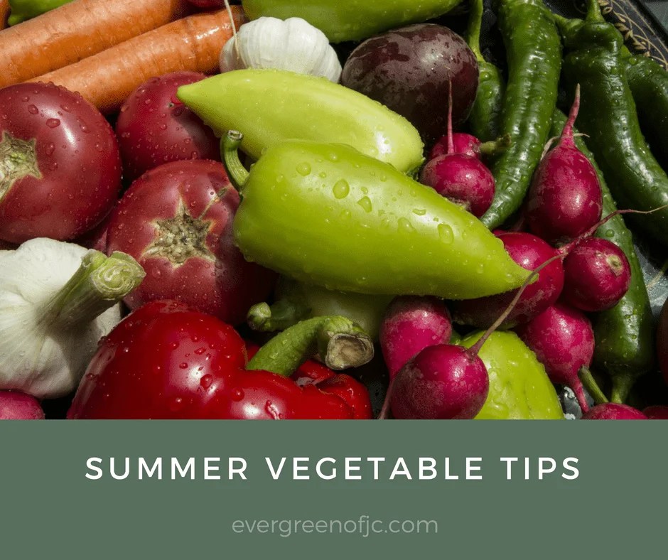 Summer Vegetable Tips Evergreen of Johnson City, TN