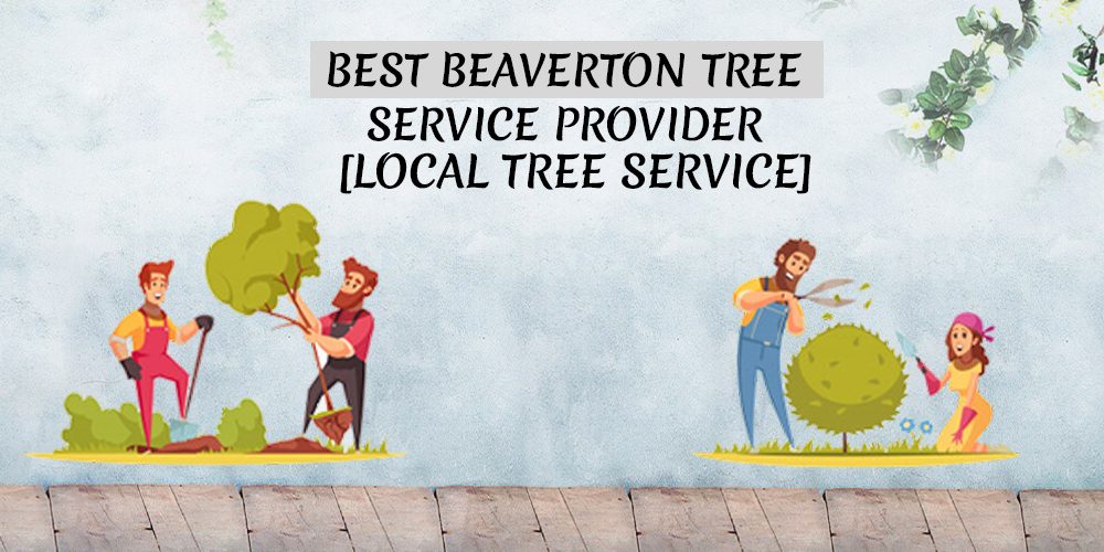 The Best Tree Service Provider In Beaverton, Oregon, Portland