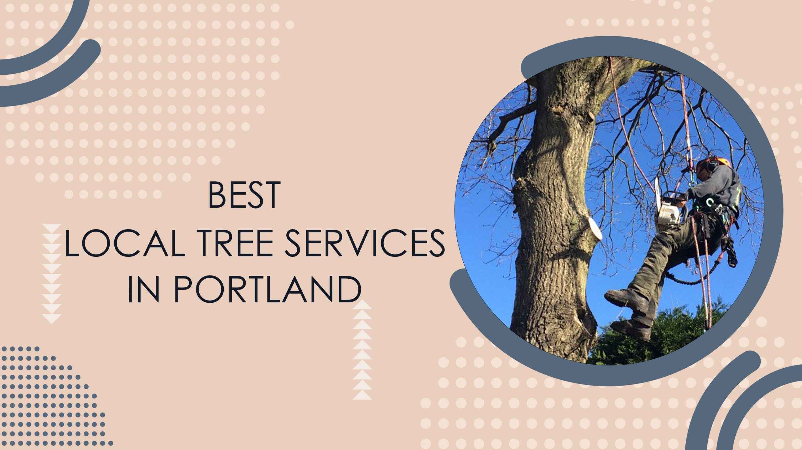 Best Local Tree Care Services In Portland, Oregon
