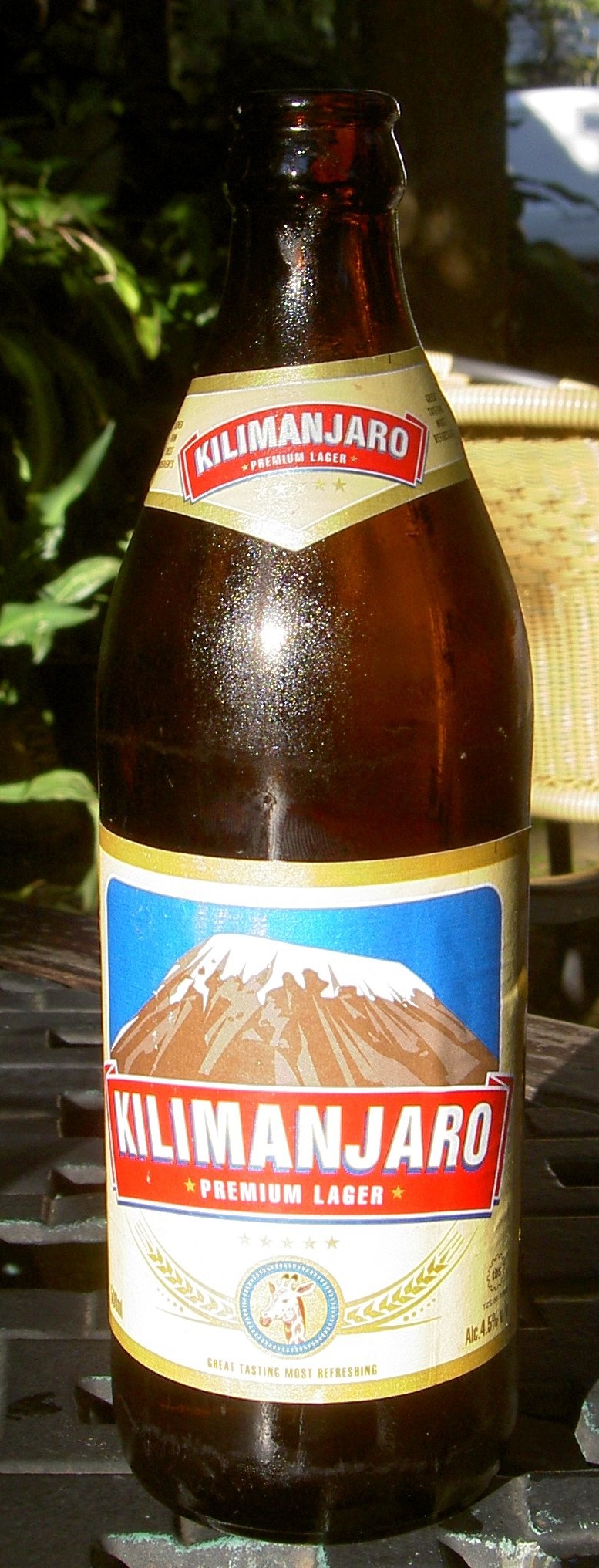 Beer in Africa Wiki Everipedia