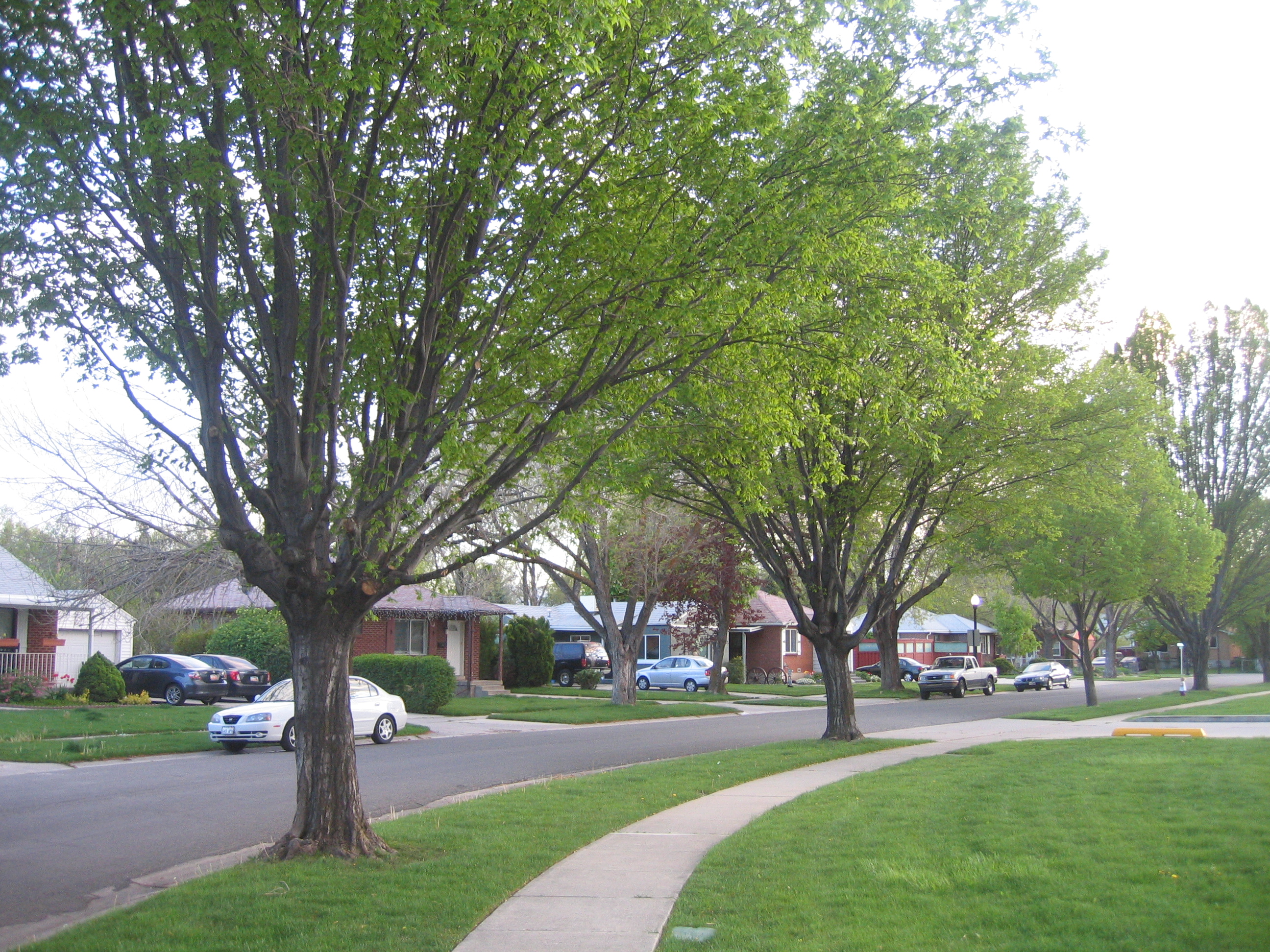 Rose Park, Salt Lake City Wiki Everipedia