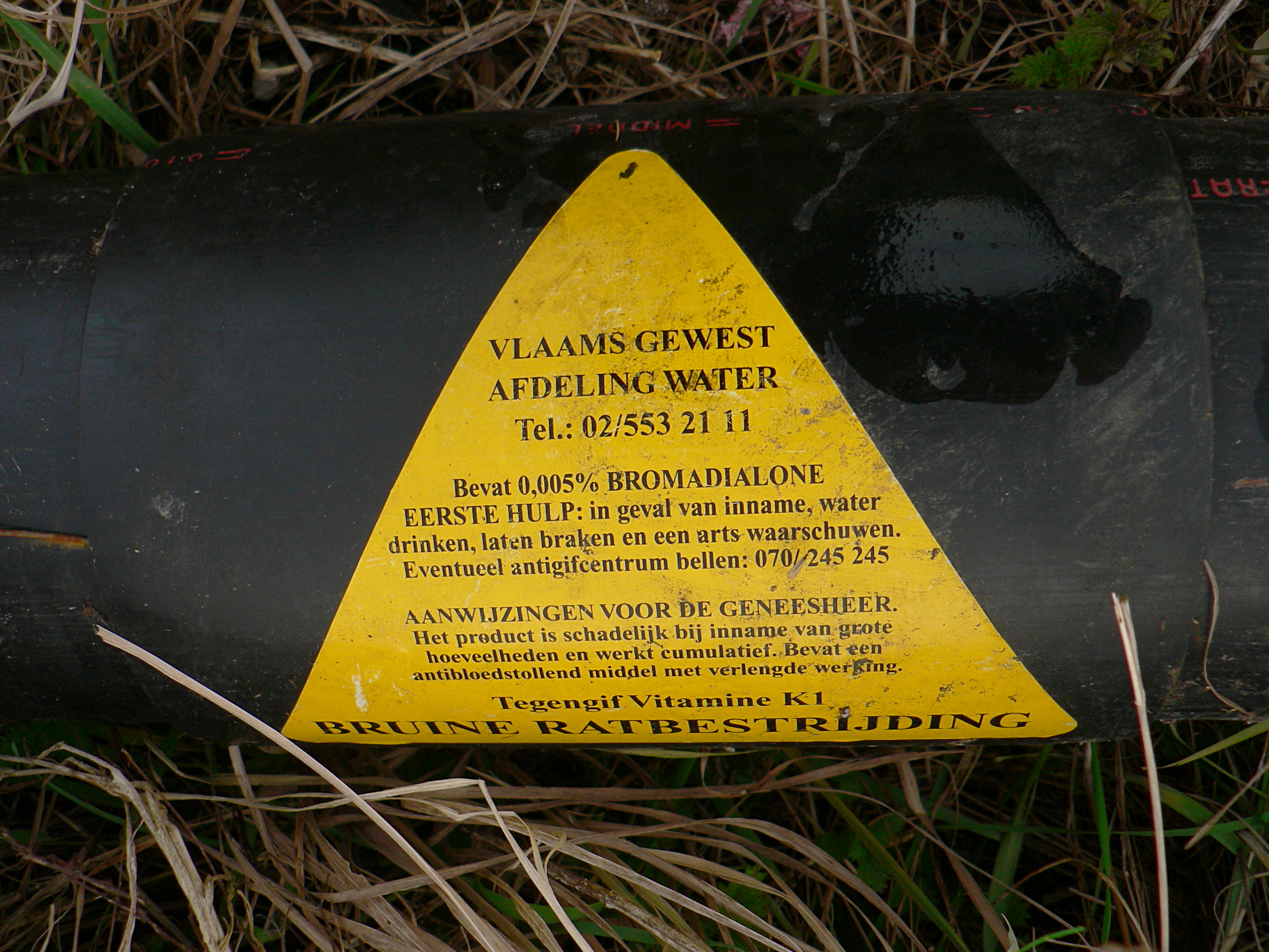 Vitamin K antagonist Wiki Everipedia