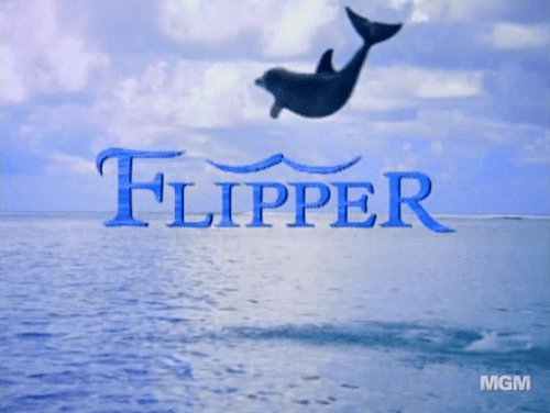 Flipper (1995 TV series) Wiki Everipedia