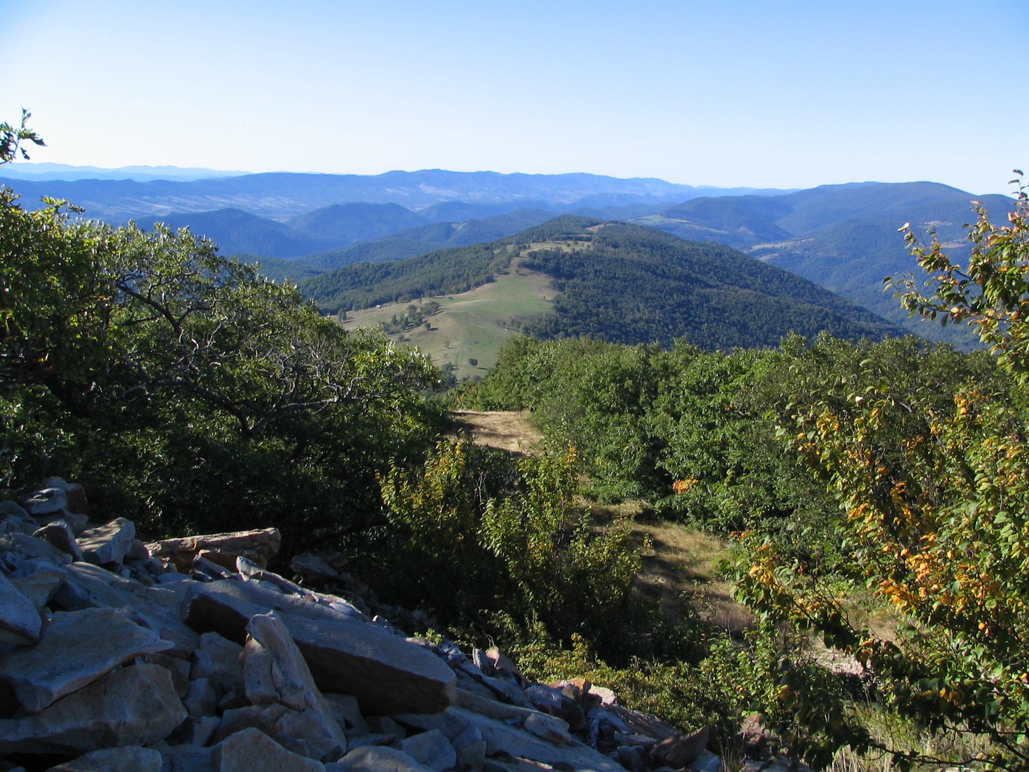 Monongahela National Forest Wiki Everipedia