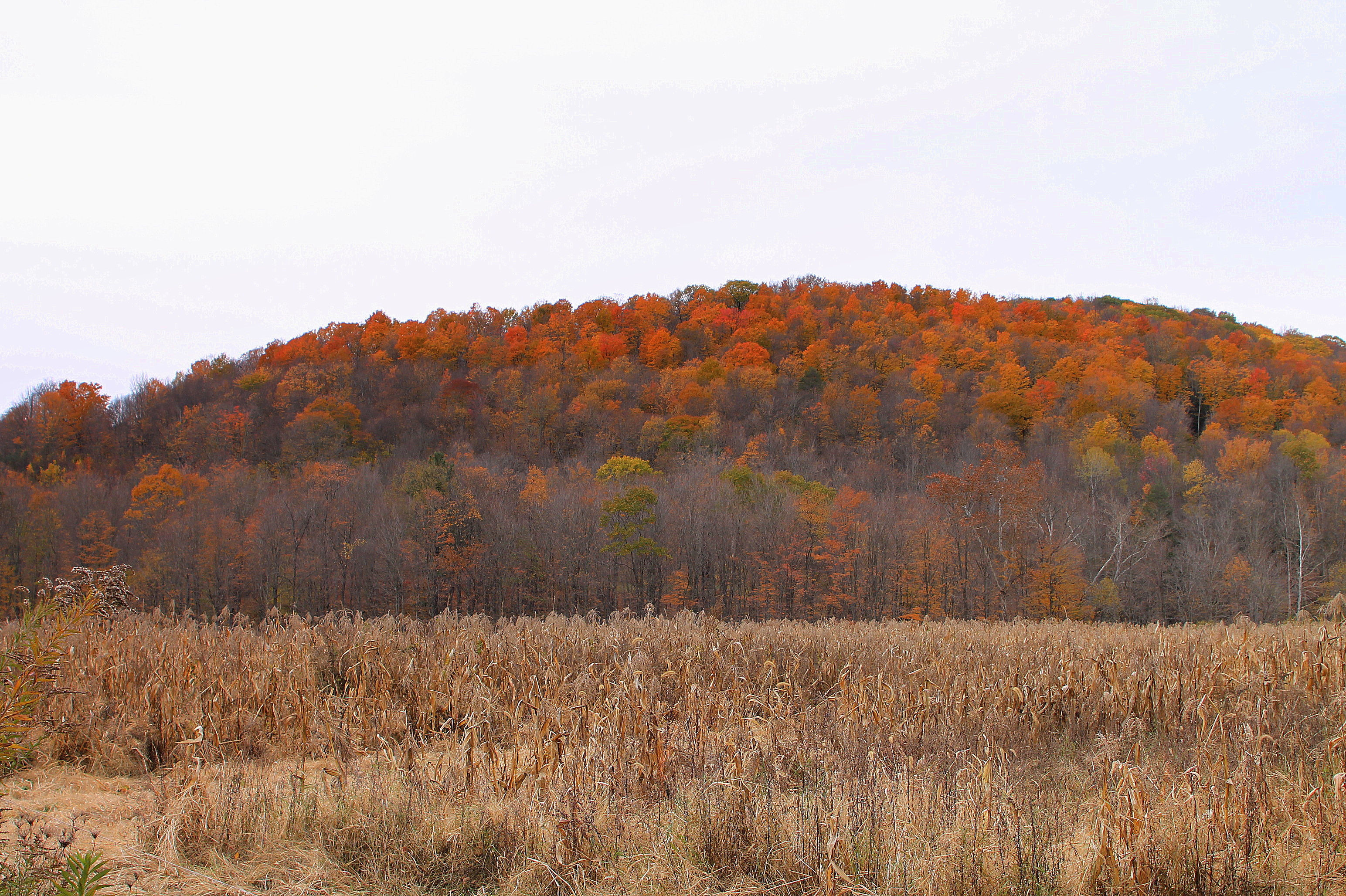 Noxen Township, Wyoming County, Pennsylvania Wiki Everipedia