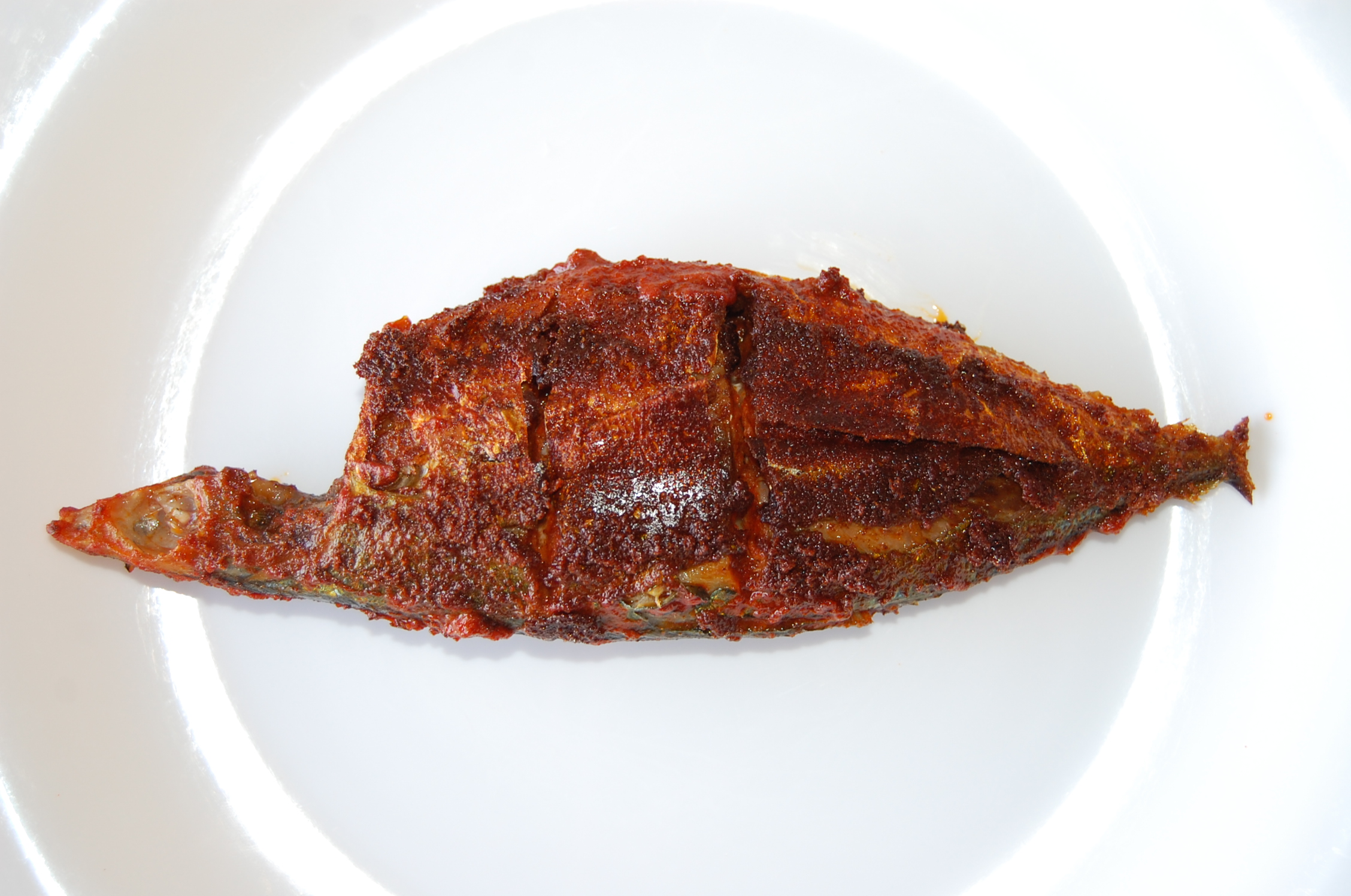 Indian mackerel Wiki Everipedia