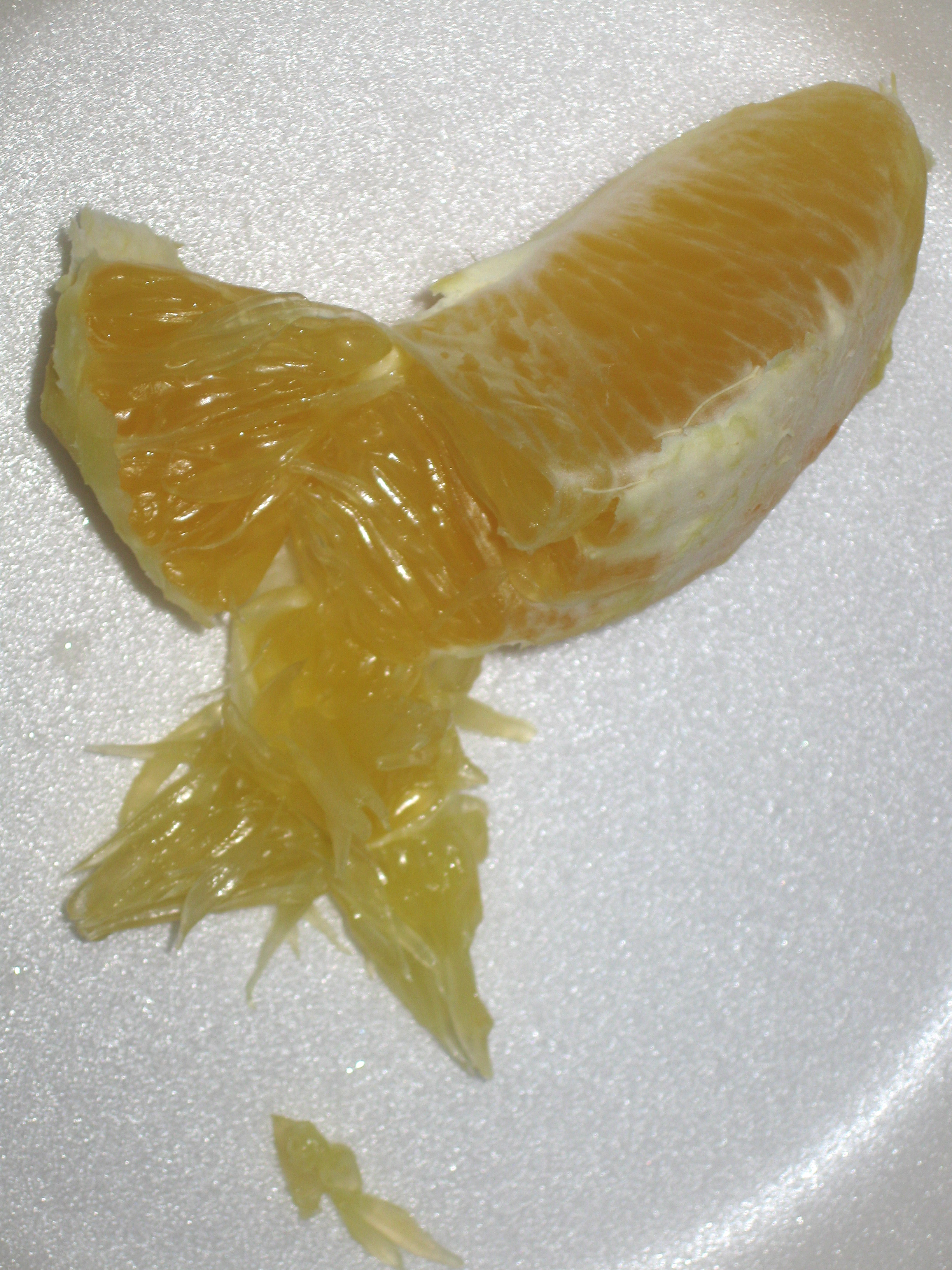 orange fruit anatomy