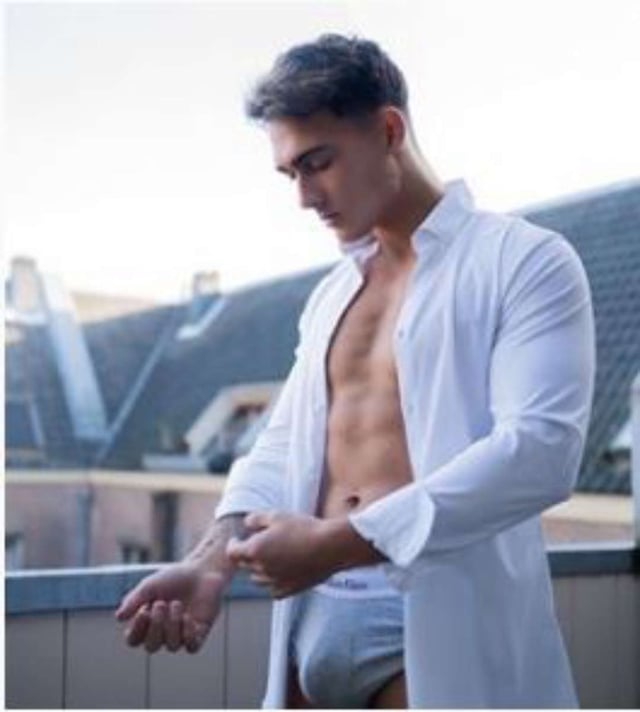 Levy Van Wilgen Wiki