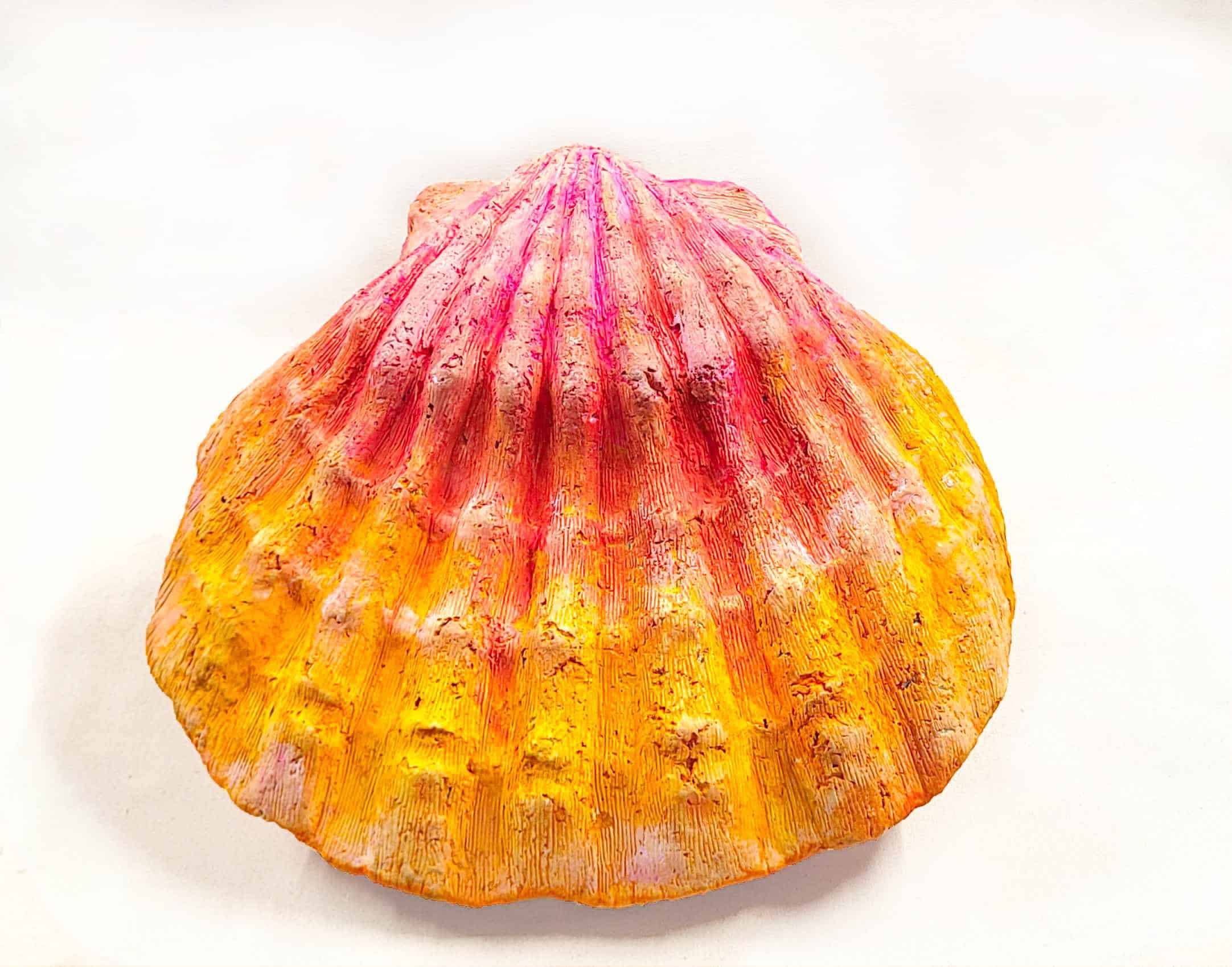 Shell UrnSunrise Shell Biodegradable urn Everista memorials