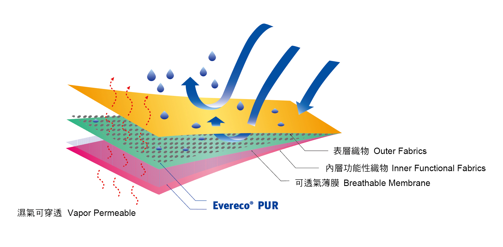 Green Polyurethane Reactive (PUR) Adhesives Everlight Colorants