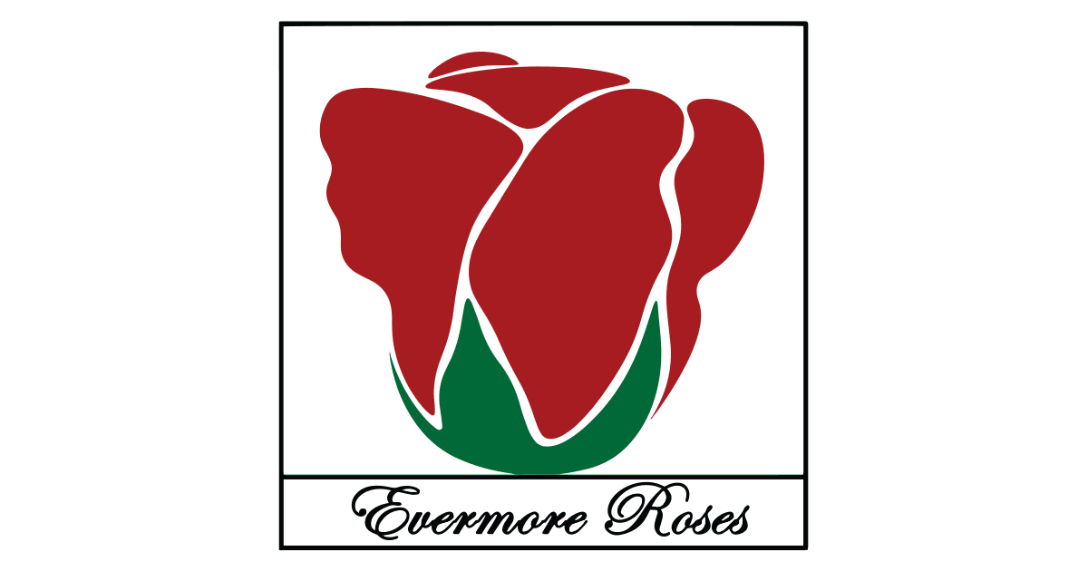 Evermore Roses Vrei sai arati cat de mult o iubesti? Cadouri femei