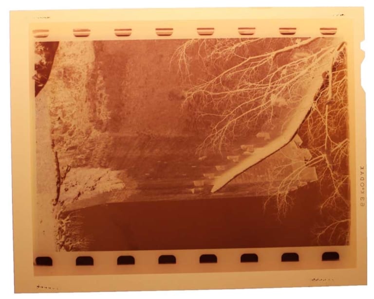 Large Format Negative Scanning Specialists EverPresent