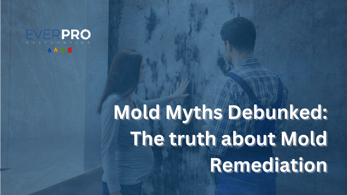 Mold Myths Debunked Truth About Mold Remediation EverPro Restoration(07)