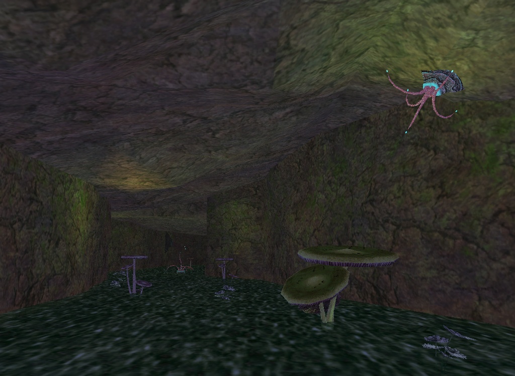 Echo Caverns Zones EverQuest ZAM