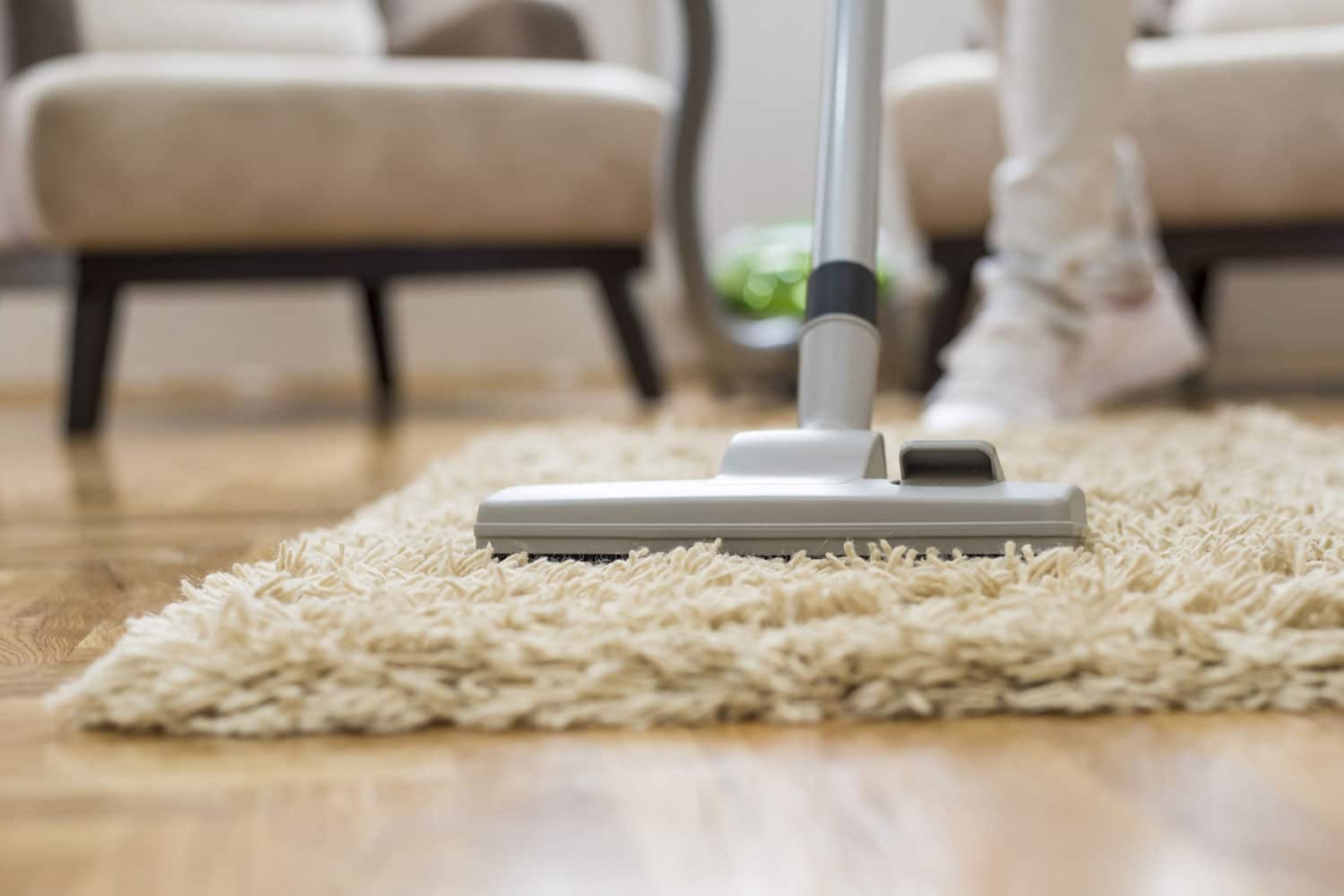Premium Carpet Cleaning Services in Metro Detroit