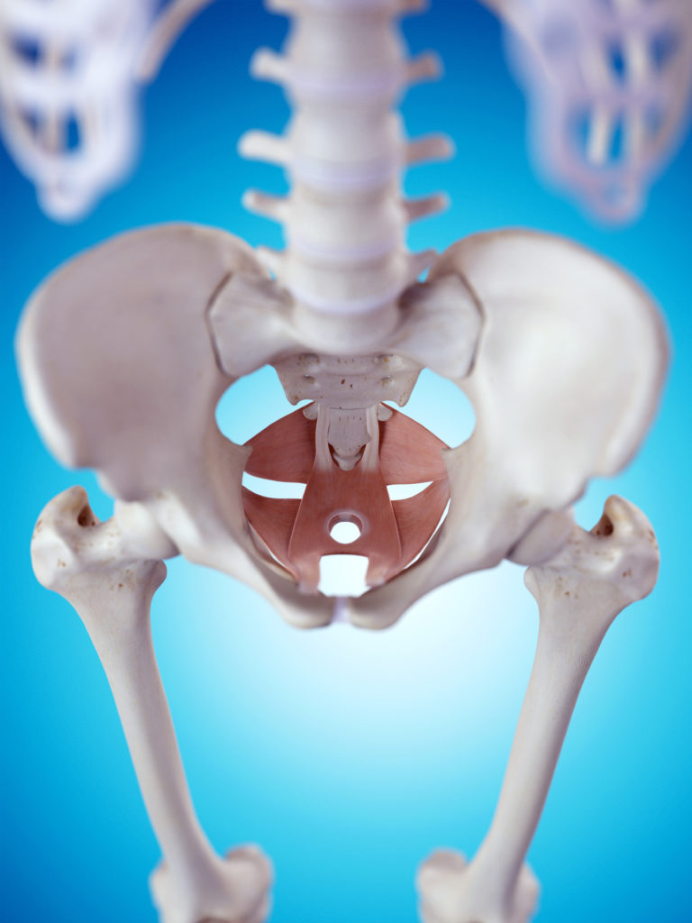 Postpartum Recovery A Pelvic Floor PT’s Guide to Recovery After Birth
