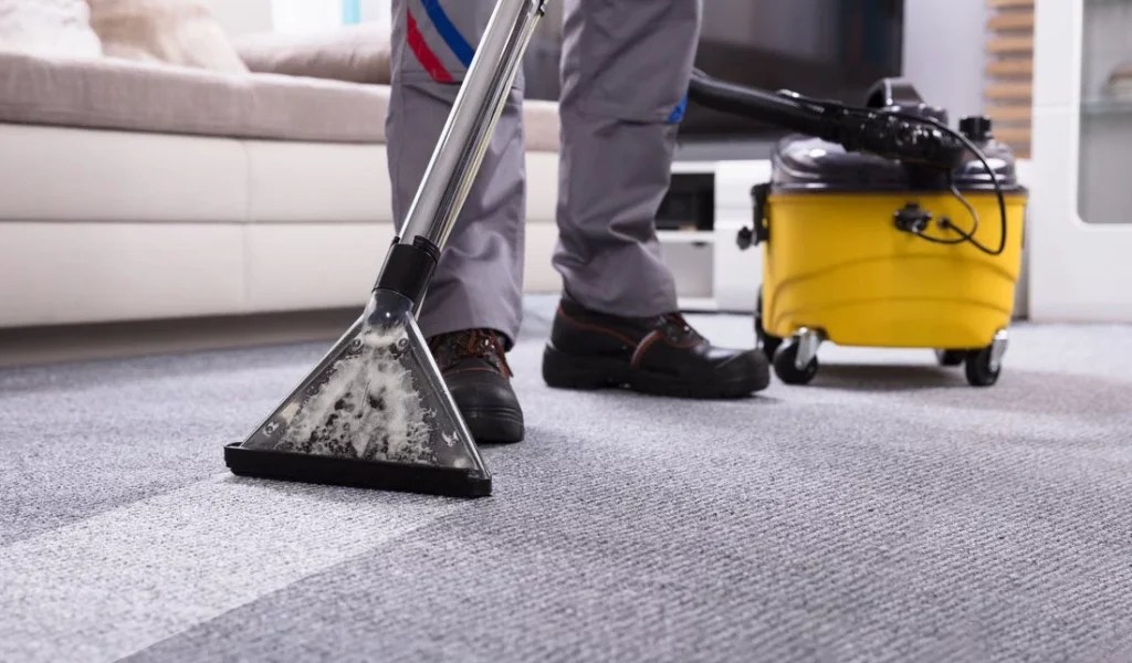 Finding the Best Carpet Cleaning Experts in Lilydale, VIC A Local’s