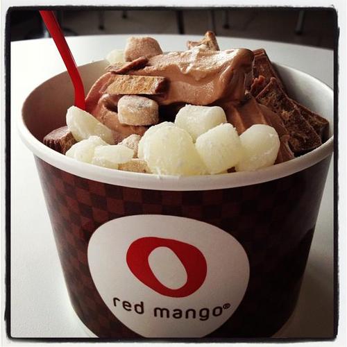 How to…Make Chocolate Frozen Yogurt Copycat Red Mango Recipe Every