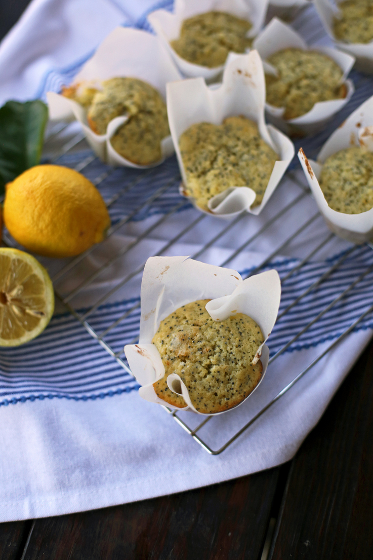 DIY Parchment Paper Muffin Wrappers Everyday Reading