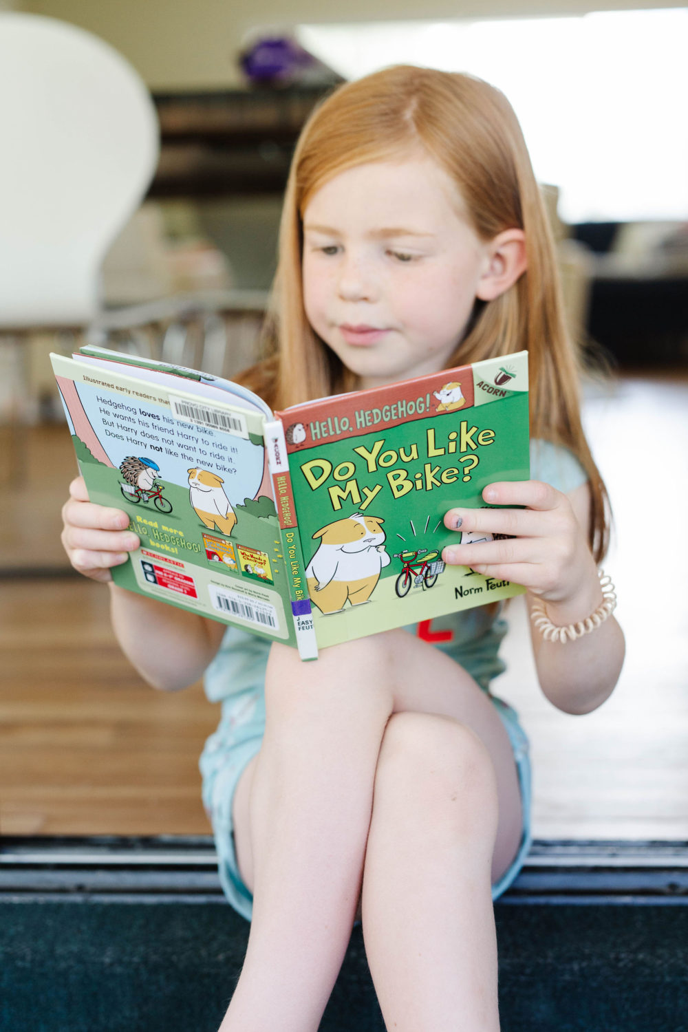 Early Reader Books For Kindergarten