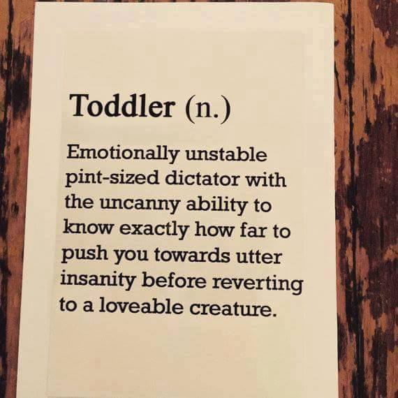 Definition of a Toddler The Everyday 30 Something