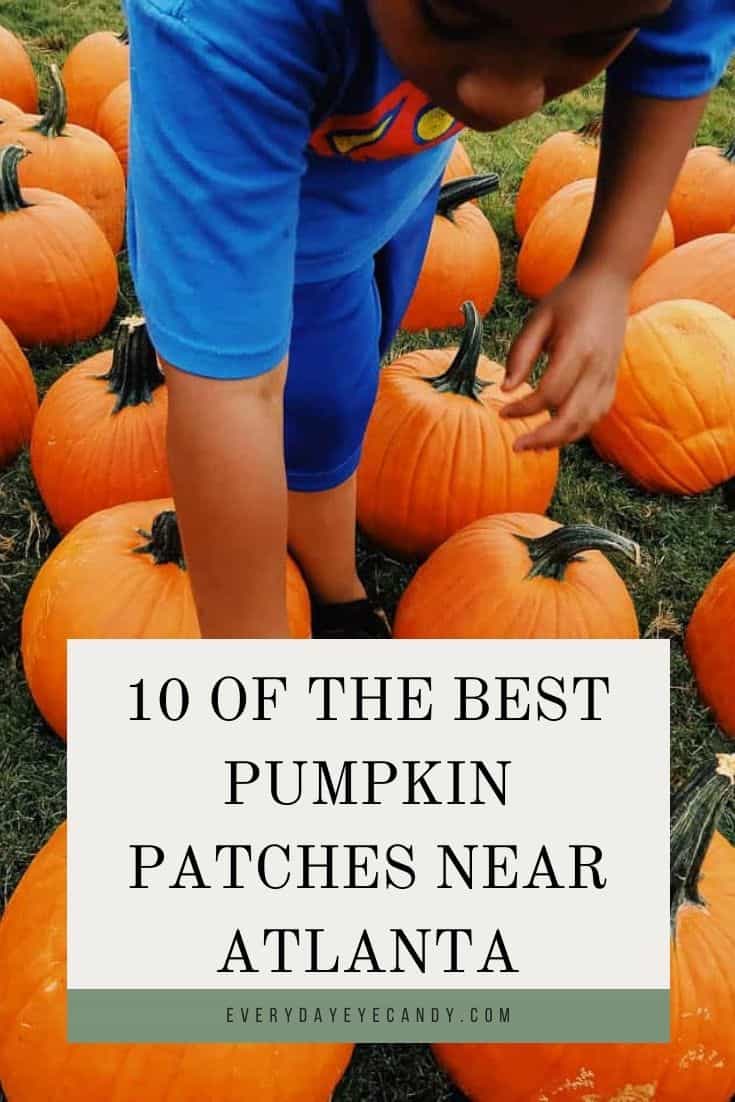 10 OF THE BEST Pumpkin Patches Near Atlanta Everyday Eyecandy