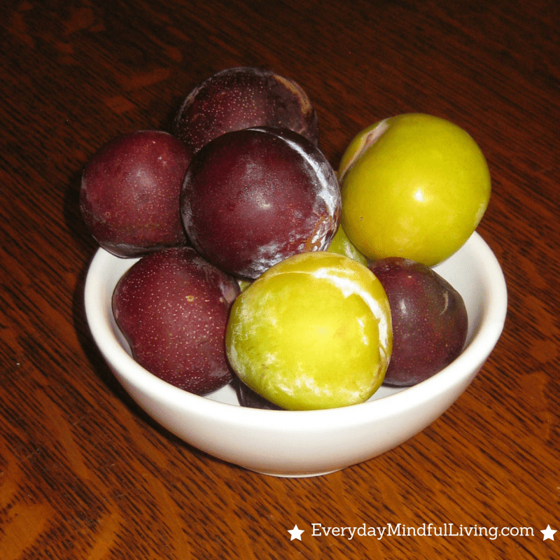 Healthy Snack Fresh Plums Everyday Intentional Living