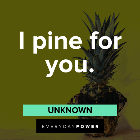 be like a pineapple quote 30 Pineapple Quotes To Hail The Queen Of Tropical Fruits (2021)