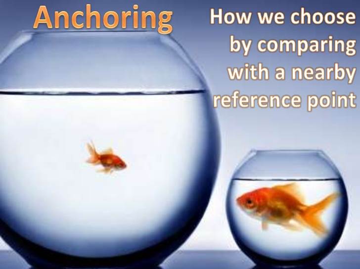 The Influence of Anchoring Everyday Psych