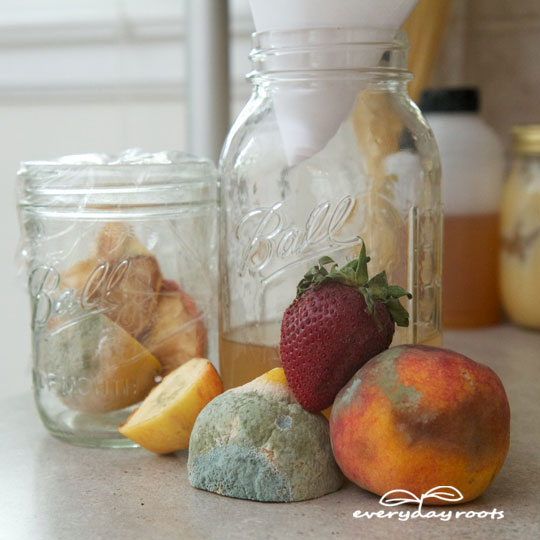 4 Homemade Traps to Get Rid of Fruit Flies Everyday Roots