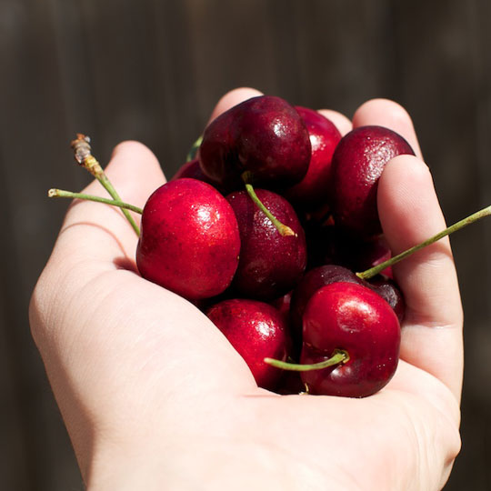 18 Natural Sleep Aids To Help You Get A Better Nights Sleep Eco Snippets